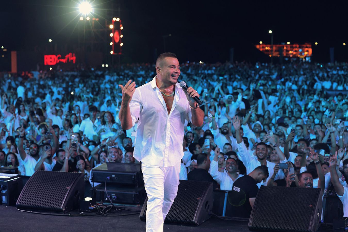 Amr Diab 从塞得港到全球明星的非凡音乐之旅
