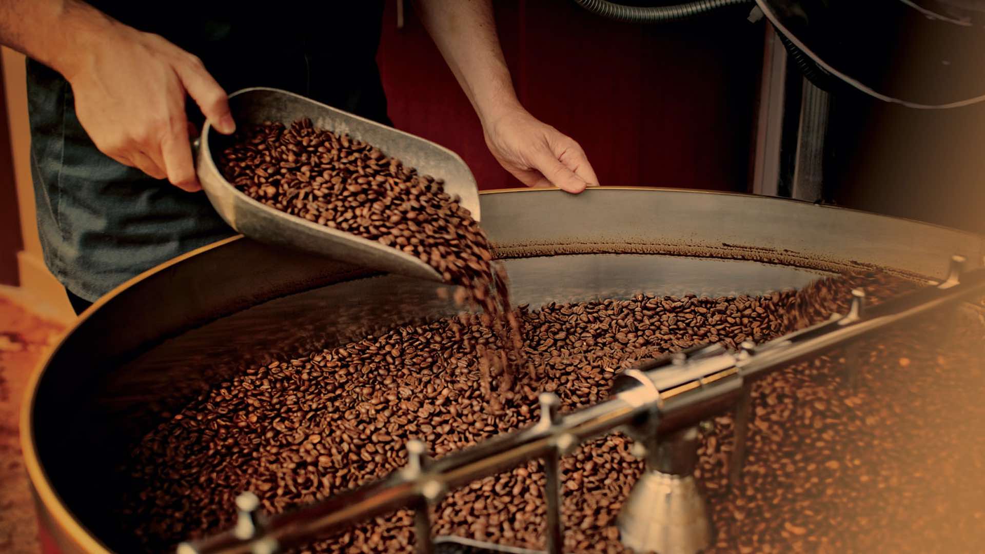揭秘星巴克作为全球咖啡巨头的现象