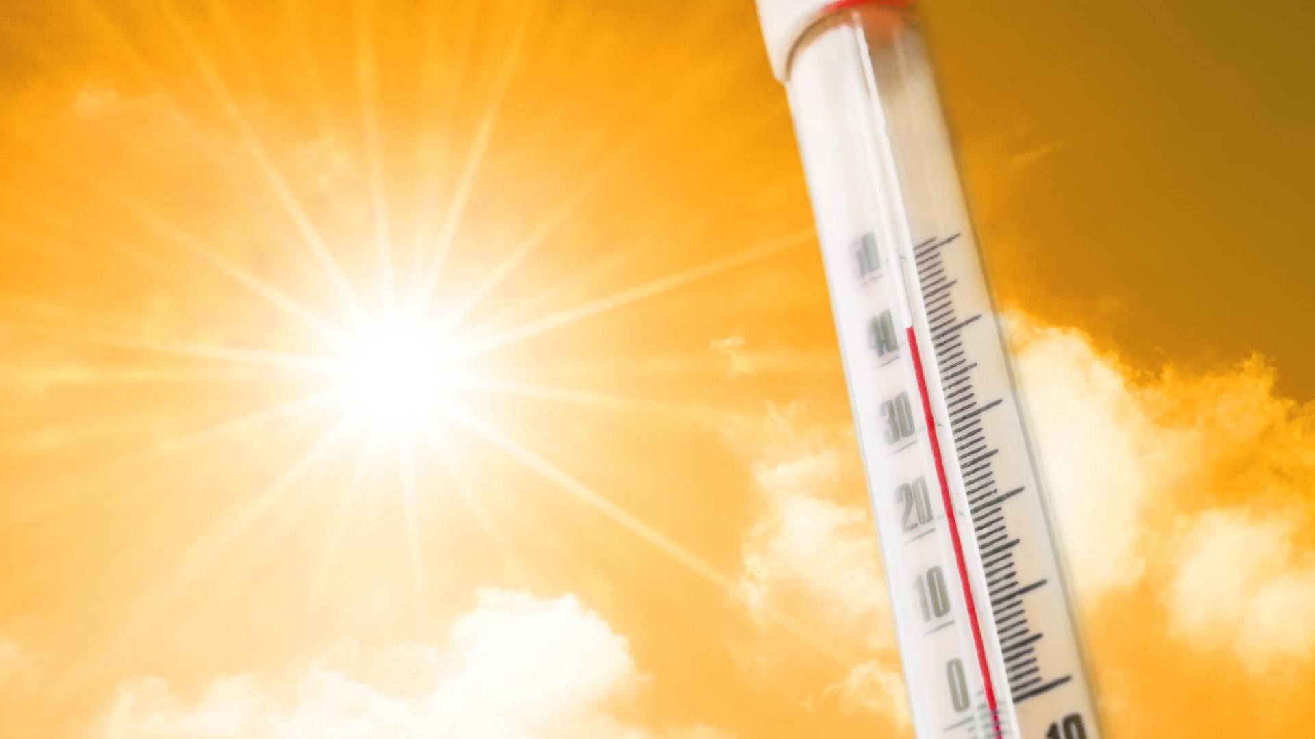 सितंबर की वैश्विक गर्मी ने रिकॉर्ड तोड़ दिए, विशेषज्ञों ने चिंता जताई