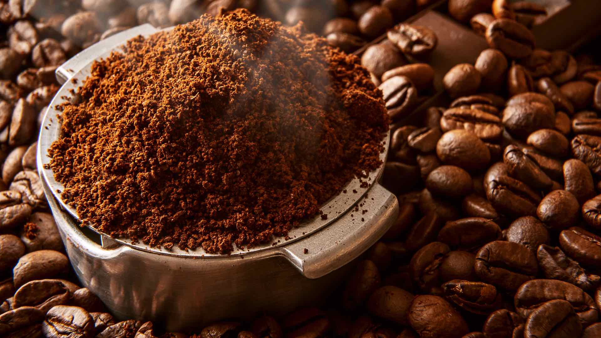 Brewing hope - how used coffee grounds may combat Alzheimer's and Parkinson's