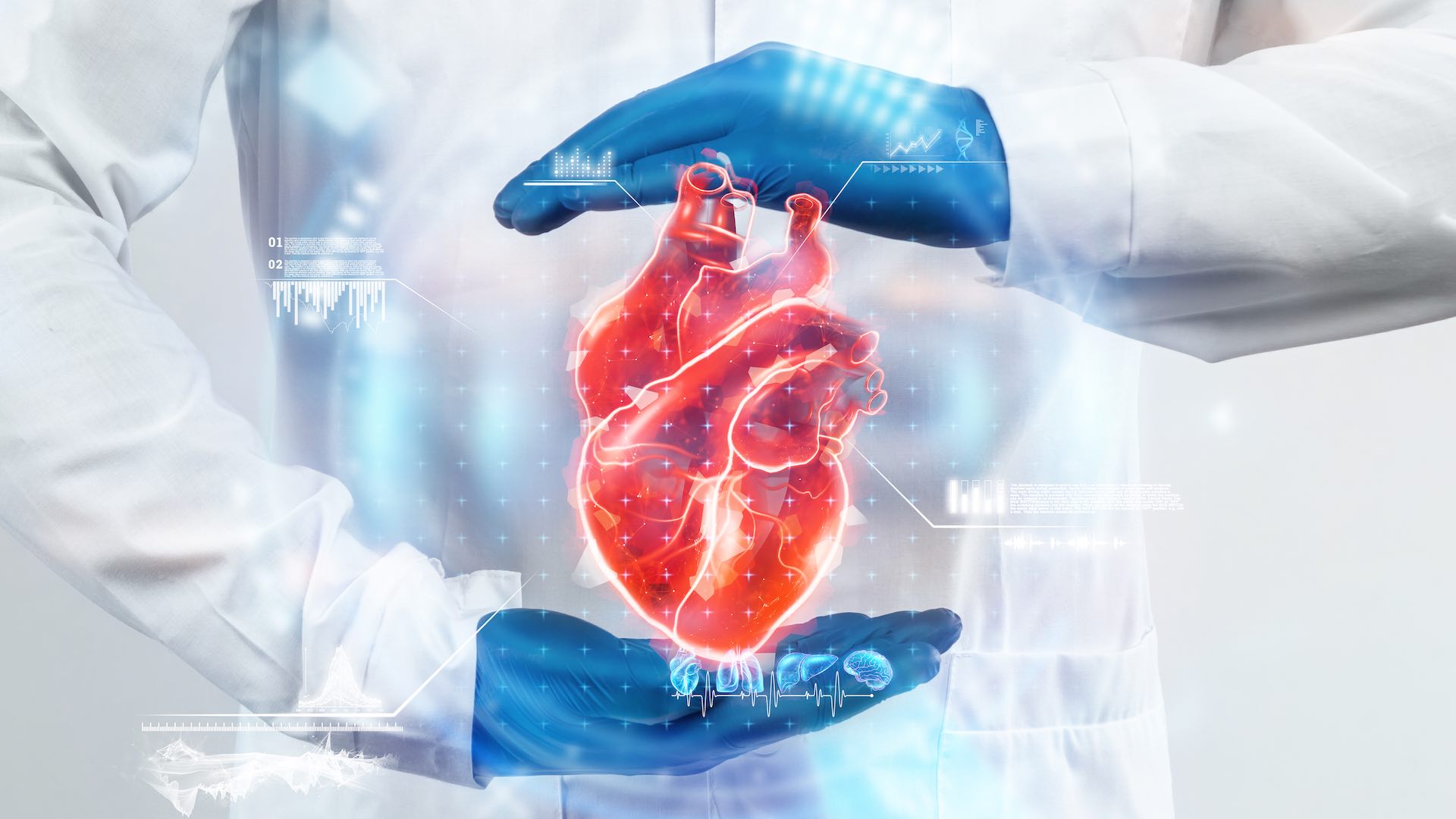 हृदय स्वास्थ्य के लिए प्राकृतिक उपचारों में नई अंतर्दृष्टि